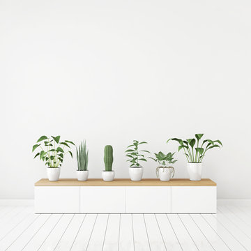 White nordic style interior with plants in pots on wooden console and empty space on the wall. 3d rendering.