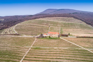 aerial view of vineyard