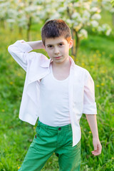 Beautiful little boy in a blooming garden in the spring.