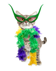 Naklejka premium Funny Mardi Gras Party Cat