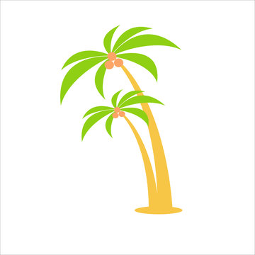 Cartoon vector flat illustration. Two palm trees with coconuts.