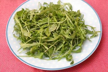 Ruccola