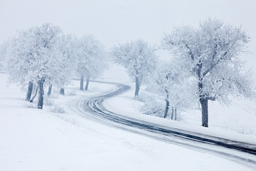 Obraz premium Snowy winter road, trees with snow and fog
