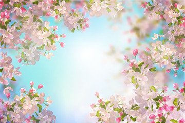 Naklejka premium Spring Cherry Blossom