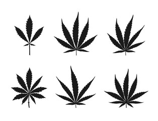 Vector cannabis leaves set