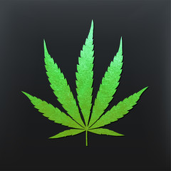 Vector cannabis leaf
