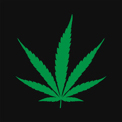 Marijuana cannabis leaf