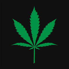Fototapeta na wymiar Marijuana cannabis leaf