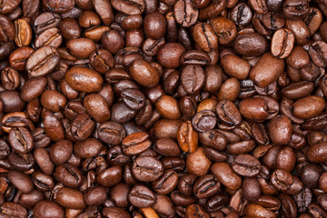 coffee beans close-up