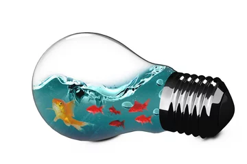 Foto op Aluminium 3D Composite image of light bulb with goldfish inside © vectorfusionart