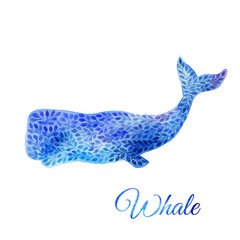 Fototapeta premium Blue Watercolor whale illustration