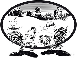 oval frame with hens and two roosters fighting.
