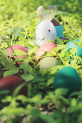 Rabbit and colorful Easter eggs in nature.Easter concept background.