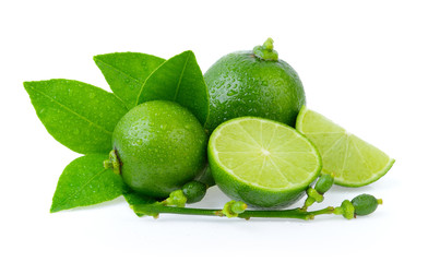 lime on white background