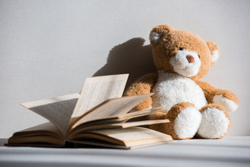 little teddy bear and opened book on grey