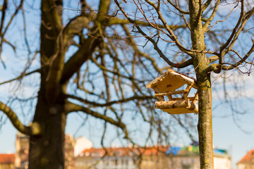 birdhouse built of small birch logs hanging on a thin tree