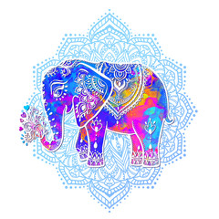 Beautiful vector card