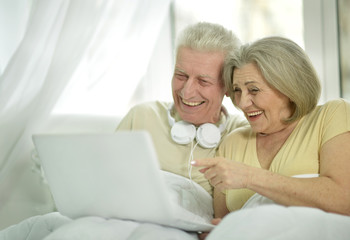 Fototapeta premium Elderly couple with a laptop