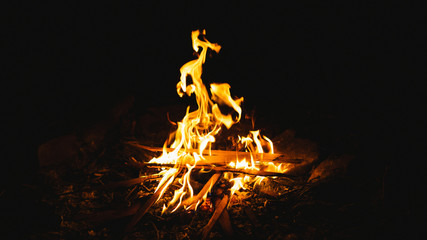 Burning campfire with wood