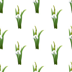 Seamless pattern with snowdrops flowers with green stems and leaves same sizes. White background. Vector illustration