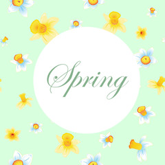 Fresh spring background with small yellow and blue narcissus with green leaves. Turquoise background with narcissus pattern Vector illustration