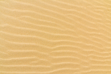 Fototapeta na wymiar Closeup of sand texture pattern of a beach in the summer