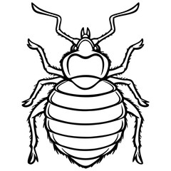 Bed Bug Graphic Illustration