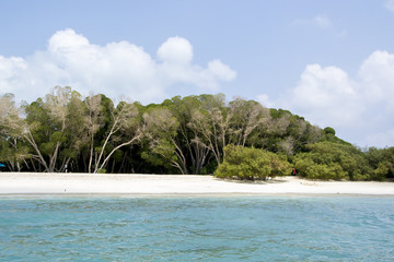 Mousha Masakali beach , Djibouti, East Africa