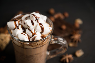 Hot chocolate with marshmallow on the wooden background. Shallow depth of field.