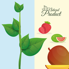 natural product fruit poster vector illustration eps 10