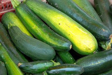 Fresh green Zucchini