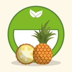 pineapple organic food diet vector illustration eps 10