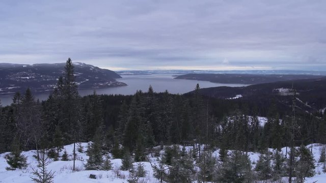 Winter's view of Mj&oslash;sa lake with forest, snowy day, Strandlykkja, Hedmark, Norway