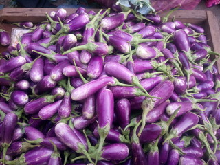 Egg plants for sale at market
