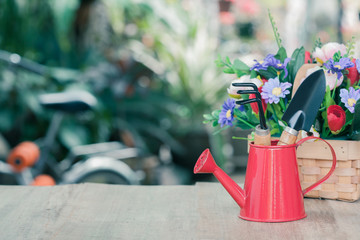 red watering can and garden tool on wood