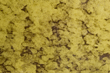 Background of a yellow