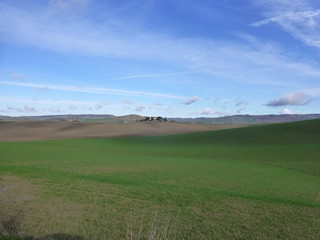 Fototapeta premium Tuscany landscape