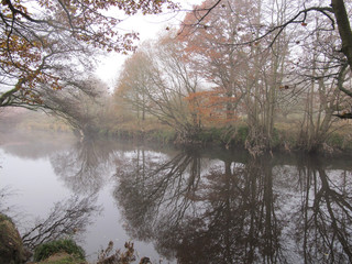Autumn misty morning walk amongst Dixy woods/Calderdale collection