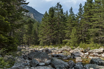 Beautiful view of the  Rila mountain with forest and river Iskar, Bulgaria 