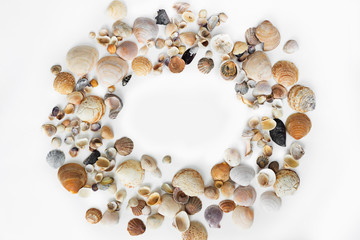 seashells background.Circle of seashells white background Circle of sea shells white background. Nautical composition. Sea shells, starfish on a white background. Flat plan, top view,