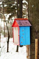 Wooden birdhouse in the forest, handmade