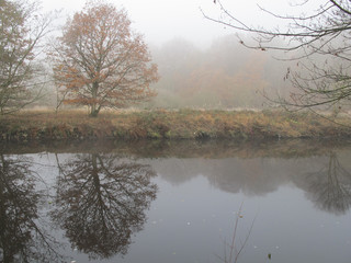Autumn misty morning walk amongst Dixy woods/Calderdale collection