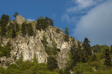 Fototapeta na wymiar Mountain top overgrown with high trees, rock and glade of Rila mountain, Bulgaria