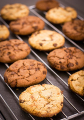 Fresh chocolate chip cookies on the cooling rack 