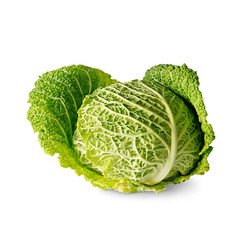 Fototapeta premium Savoy cabbage isolated on white background