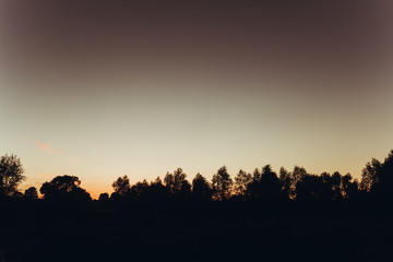 sunset sky and forest at evening summer field. meadow in sunshine. beautiful land silhouette. atmospheric moment. earth day. save environment