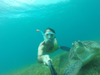 tortue sous marine avec un apnéiste
