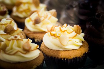 Rows of Pastel Colored Romantic Cupcakes