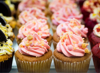 Rows of Pastel Colored Romantic Cupcakes