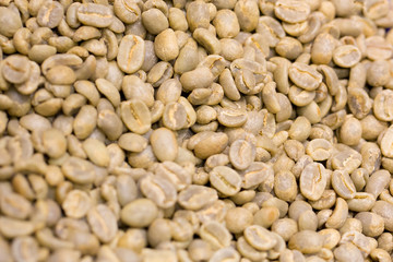 green coffee beans
